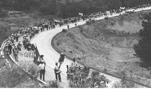 xinich-marcha-tololoapan-jp