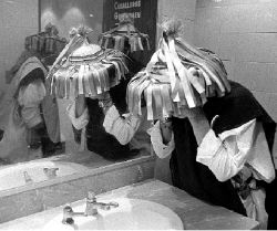 abejas-sanborns-2-jpg