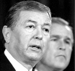 apAPLATAM_BUSH_02KX7_OY4