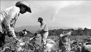 popocatepetl-fumarola-1