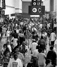 vacacionistas-aeropuerto2-jpg