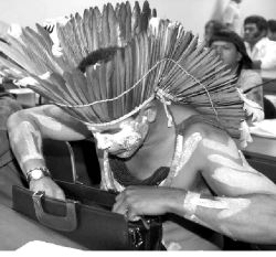 brasil-indigenas-medio-ambi