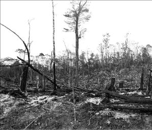 chiapas-la-culebra-2-montes
