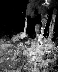 FWAS100_NEW__5097702380