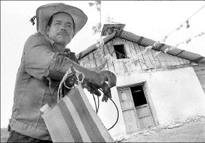 chis-refugiados-guatemaltec