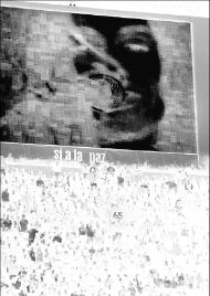 jaguares-paz.otrajpg