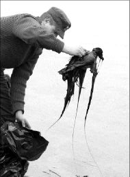 DENMARK_TANKER_ACCIDENT