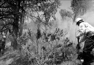 incendio-forestal-toluca-2-