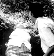 Perfume de violetas 03