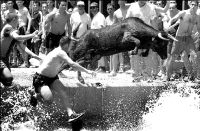 spain_bull_run_ona