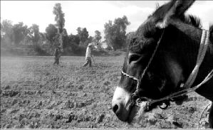 mexico_world_developmen