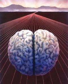 repatriacion cerebro