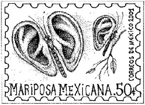 oreja-3