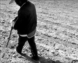 puebla-campo-campesino