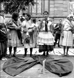 indigenas_senado02