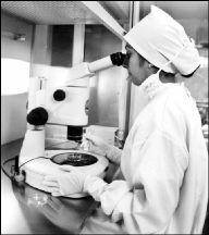 india_stem_cells_ixra