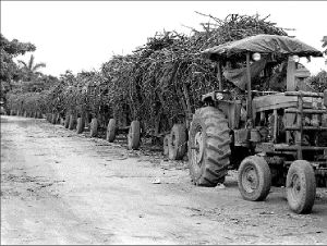 migrantes-veracruz-29
