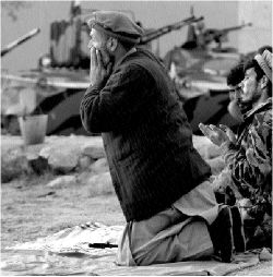 nortern_alliance_sdw