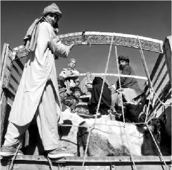 attack_afghan_vi23nl