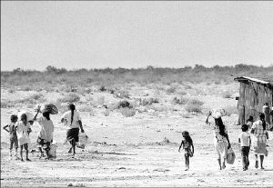 yaquis-son-indigenas-2