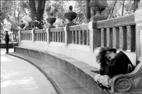 alameda_indigente_mxc7