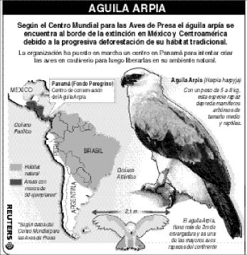 MDFaguila_arpiabueno