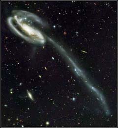 v_hubble_ac_tadpole_02.jpg-b/n