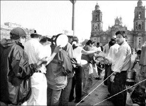 zocalo_planton_s25fl