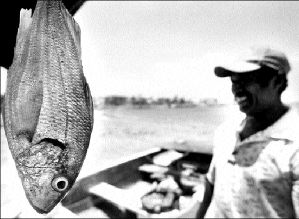 pesca_sinaloa_ed2