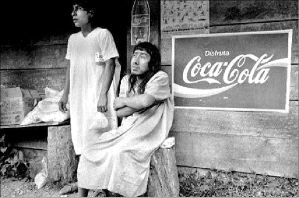 indigenas_coca