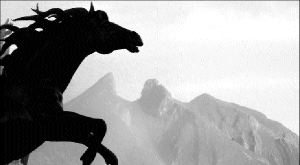 cotdiana_monterrey_fos