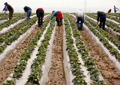 UN D&Iacute;A DESPU&Eacute;S