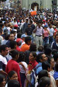 Mantienen su plant&oacute;n