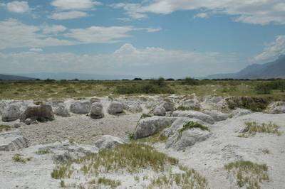 Amenaza industria lechera la reserva de Cuatroci&eacute;negas