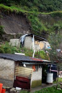 Abre el tribunal la puerta de Los Pinos a Calder&oacute;n