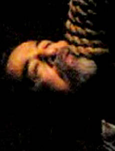 Tras la ejecuci&oacute;n, 73 muertos en Irak