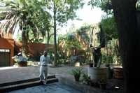 Emiliano Gironella en el jardín del inmueble sede del El Aire, donde mañana abrirá su exposición Hijo de su propia muerte, en el contexto del décimo aniversario de ese espacio