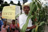 Simpatizantes de Andrés Manuel López Obrador lo recibieron en Teopisca, Chiapas