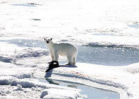 Para algunos, el calentamiento global empieza a ser insoportable