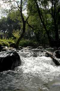 Aspecto del río Magdalena, en la delegación Magdalena Contreras, recientemente rehabilitado como parte del programa de rescate de los cauces de la cuenca del valle