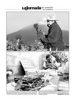 La Jornada de enmedio