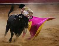 En México se necesitan empresarios dispuestos a reposicionar la fiesta. En la imagen Xavier Ocampo