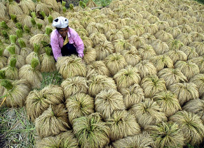M&eacute;xico importa cada vez m&aacute;s alimentos: BM