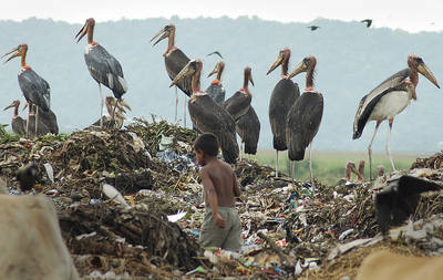 Consume al mundo la adicci&oacute;n al CO2: ONU