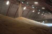 La red de bodegas de Conasupo llegó a tener una capacidad probada de almacenamiento cercano a los 3 millones de toneladas. La imagen corresponde a una bodega de maíz ubicada en Culiacán