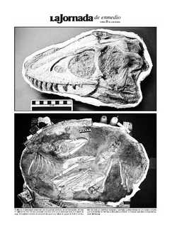 La Jornada de enmedio