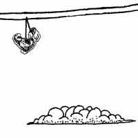 Mostrar el cartón Ahumada