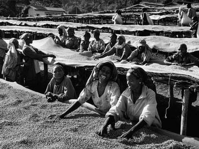 Caf&eacute; con aroma de mujer