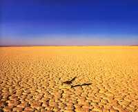 Correcaminos, de la serie Habitar el vacío, 2002