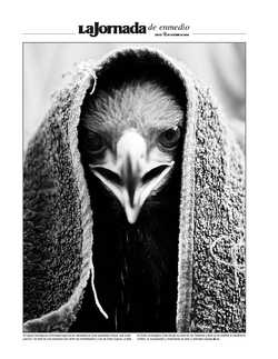 La Jornada de enmedio